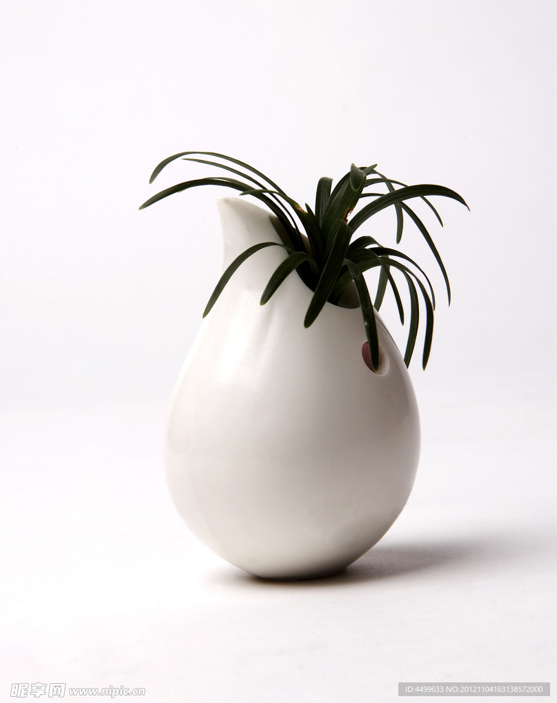盆栽植物