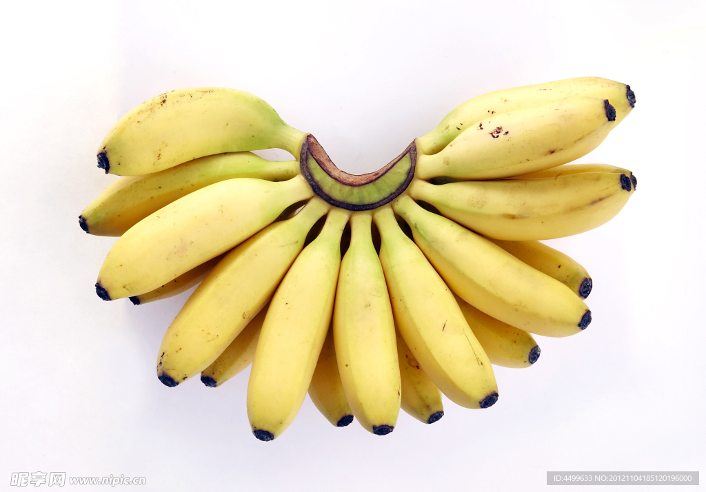 香蕉 菲律宾香蕉