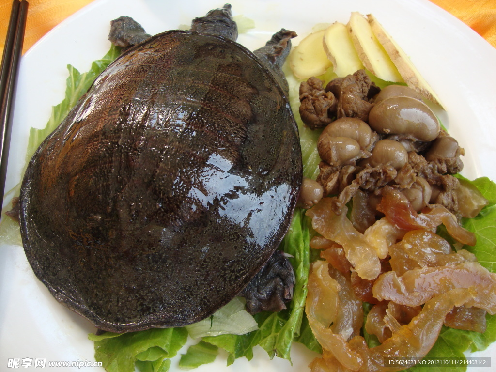 鸡腰鞭花烧甲鱼(非高清)