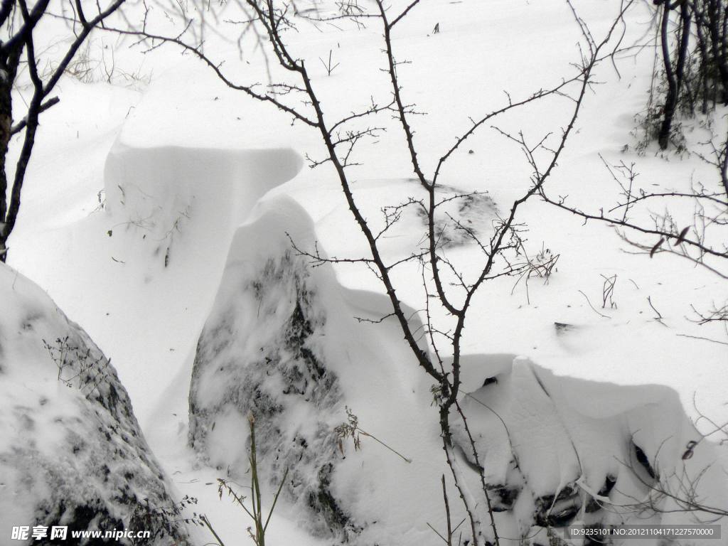 冬日白雪