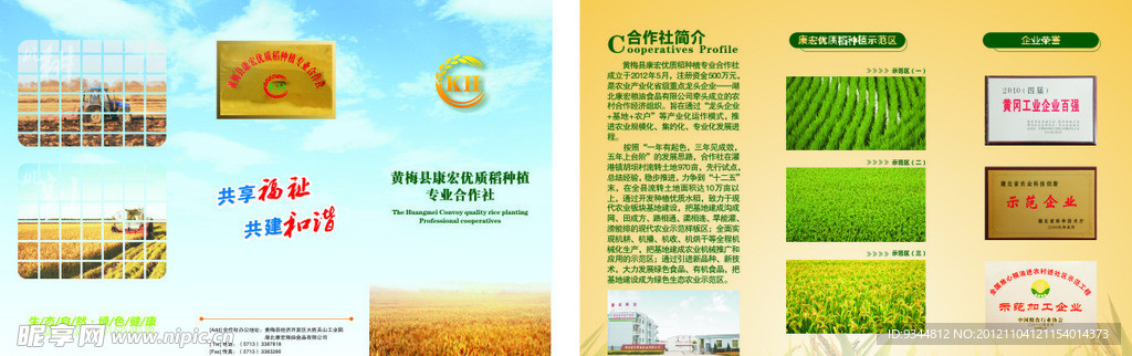 康宏粮油