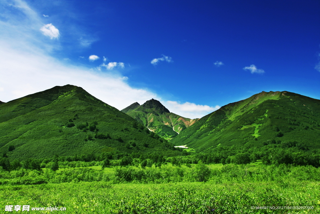 绿色树林山丘