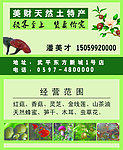 土特产名片