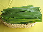 油麦菜