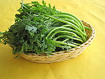 茼蒿