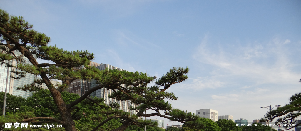 日本城市天空