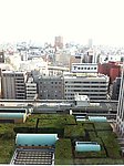 城市