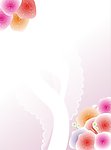 蕾丝