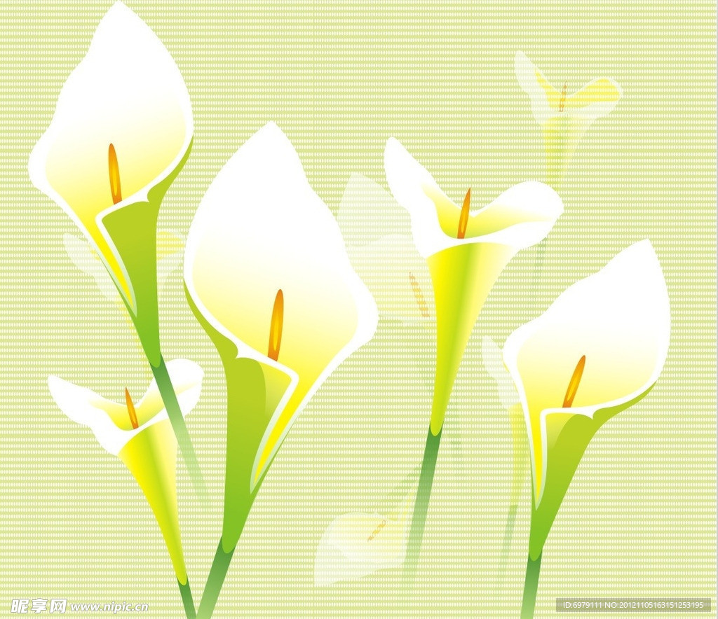 百合花