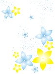 绚丽无星花