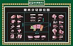 猪肉分割