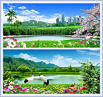 美丽家园