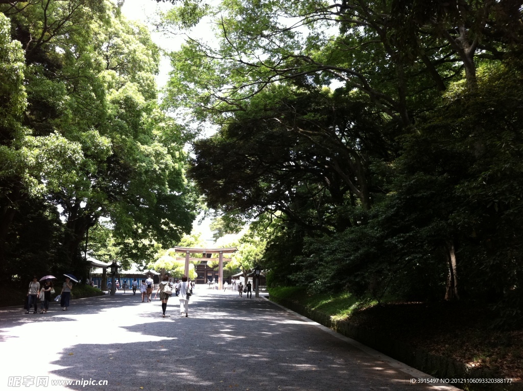 日本城市街道