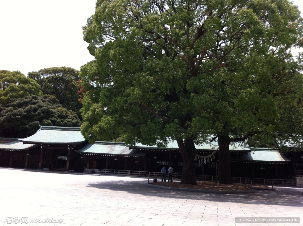 日本城市街道