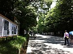 日本城市街道
