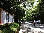 日本城市街道