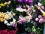 日本鲜花店铺
