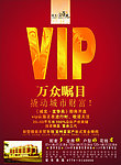vip 报版设计