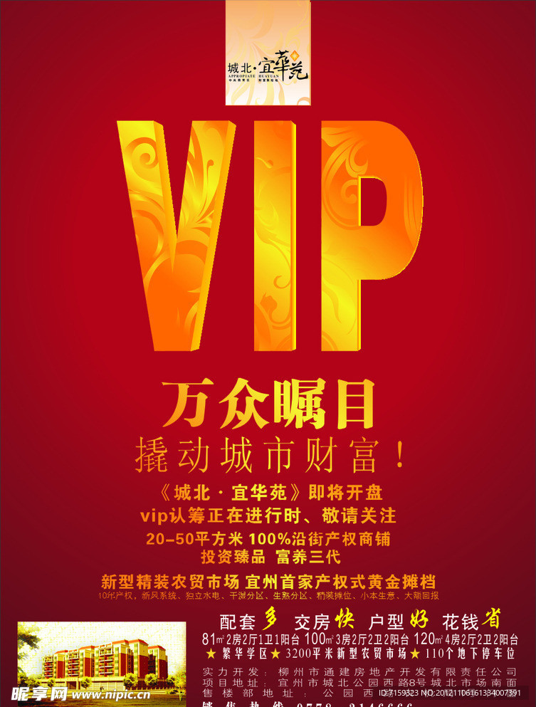 vip 报版设计