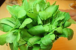 鸡毛菜