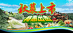秋菜上市