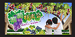 葡萄熟了