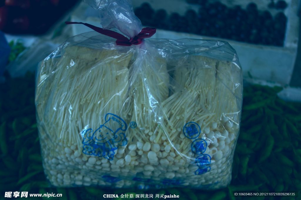 金针菇 菌类食品