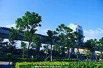 城市地铁列车 树林穿梭