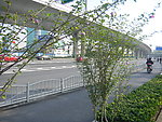 上海新国际博览中心周边