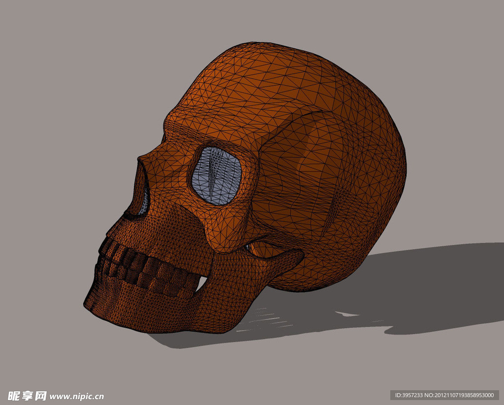 头骨3D模型