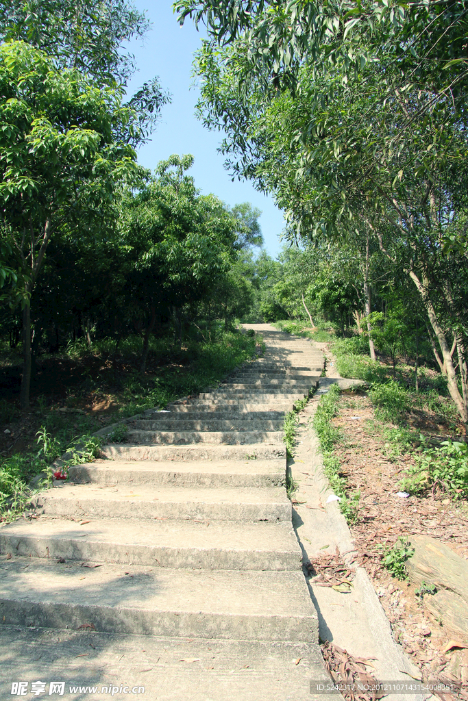 惠阳阿公顶森林公园