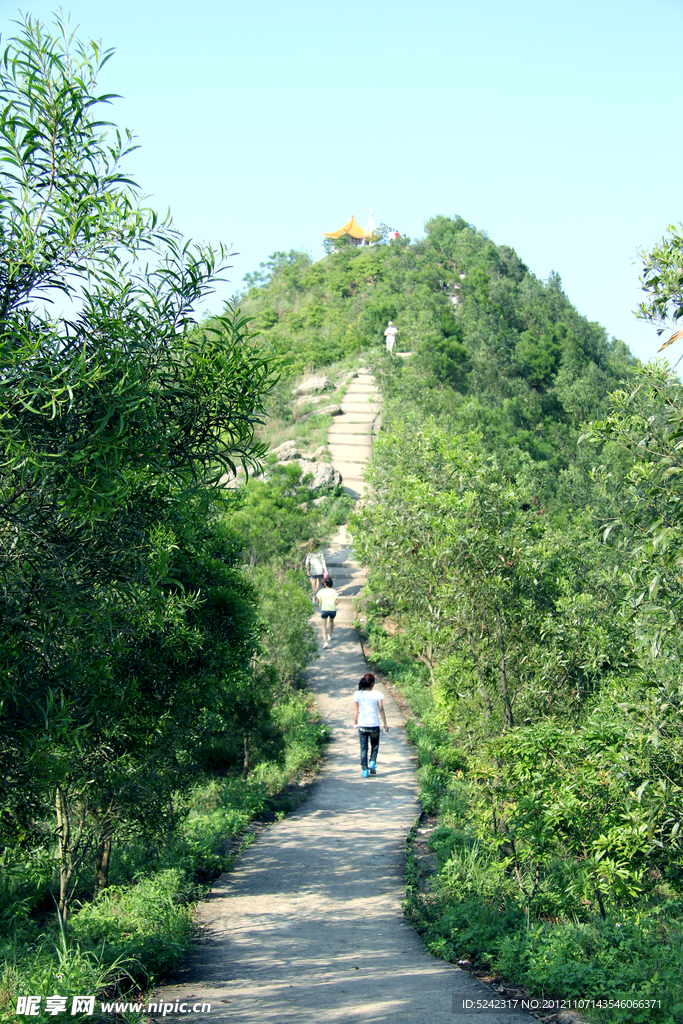 惠阳阿公顶森林公园