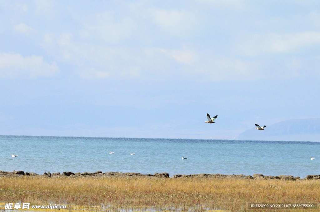 青海湖