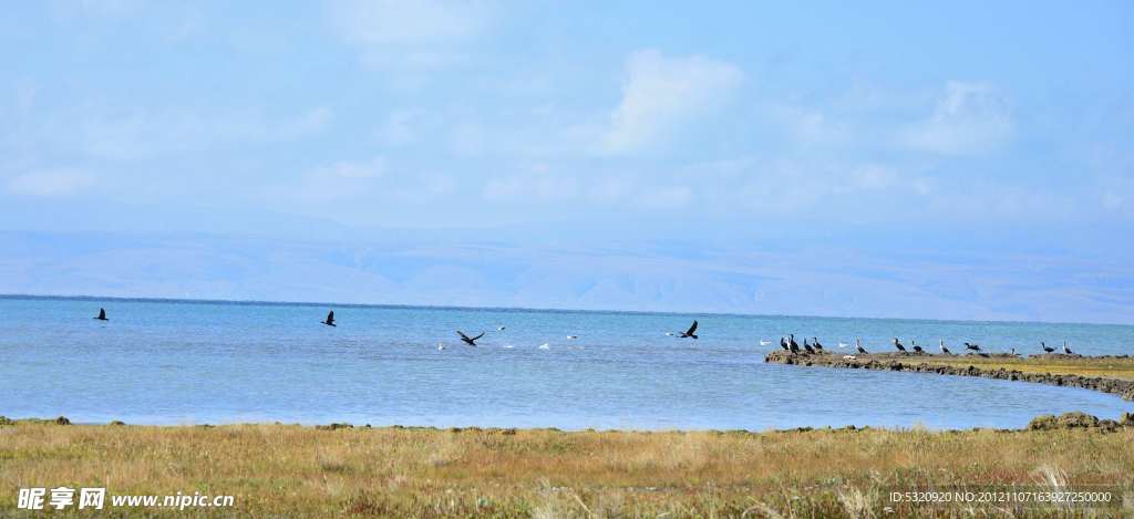 青海湖