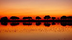 夕阳