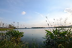 湖岸