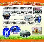残疾人文化