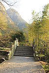 小桥 竹林