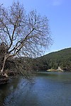 湖畔美景