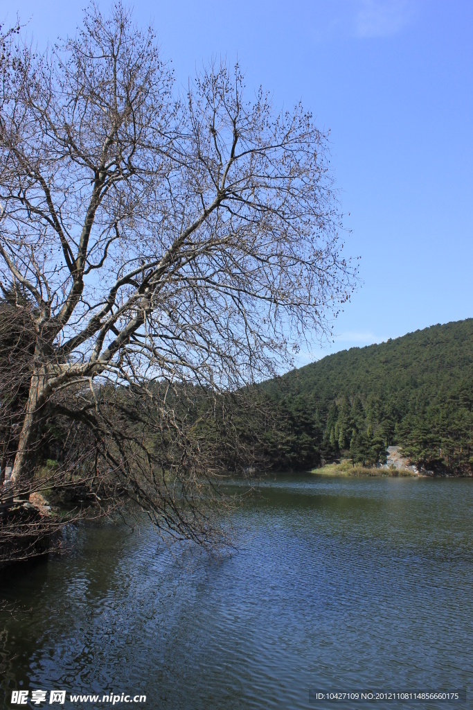 湖畔美景