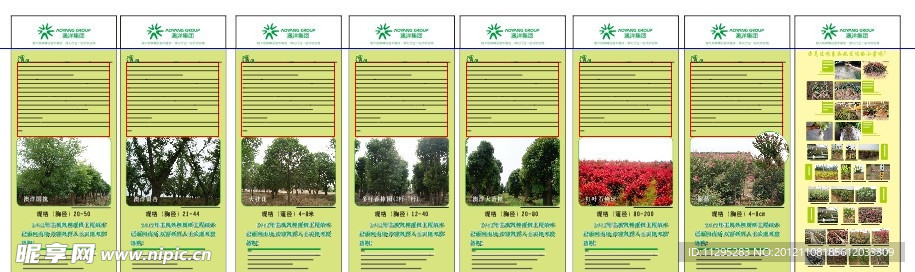 易拉宝 树苗