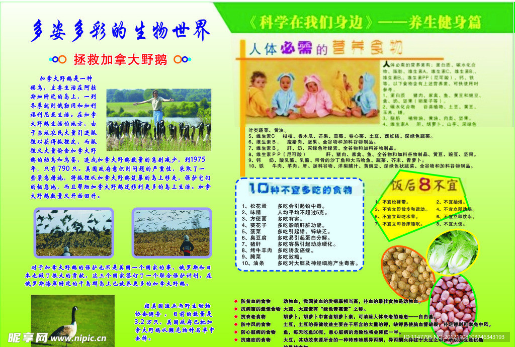 健身养生宣传展板