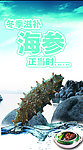 冬季推广产品