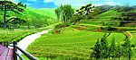 田野风景