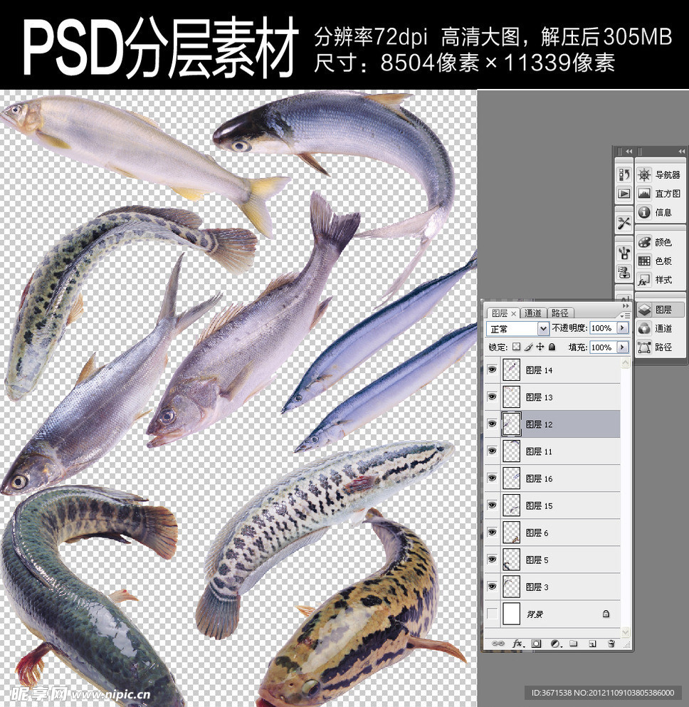海鲜 海鱼