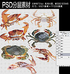 海蟹