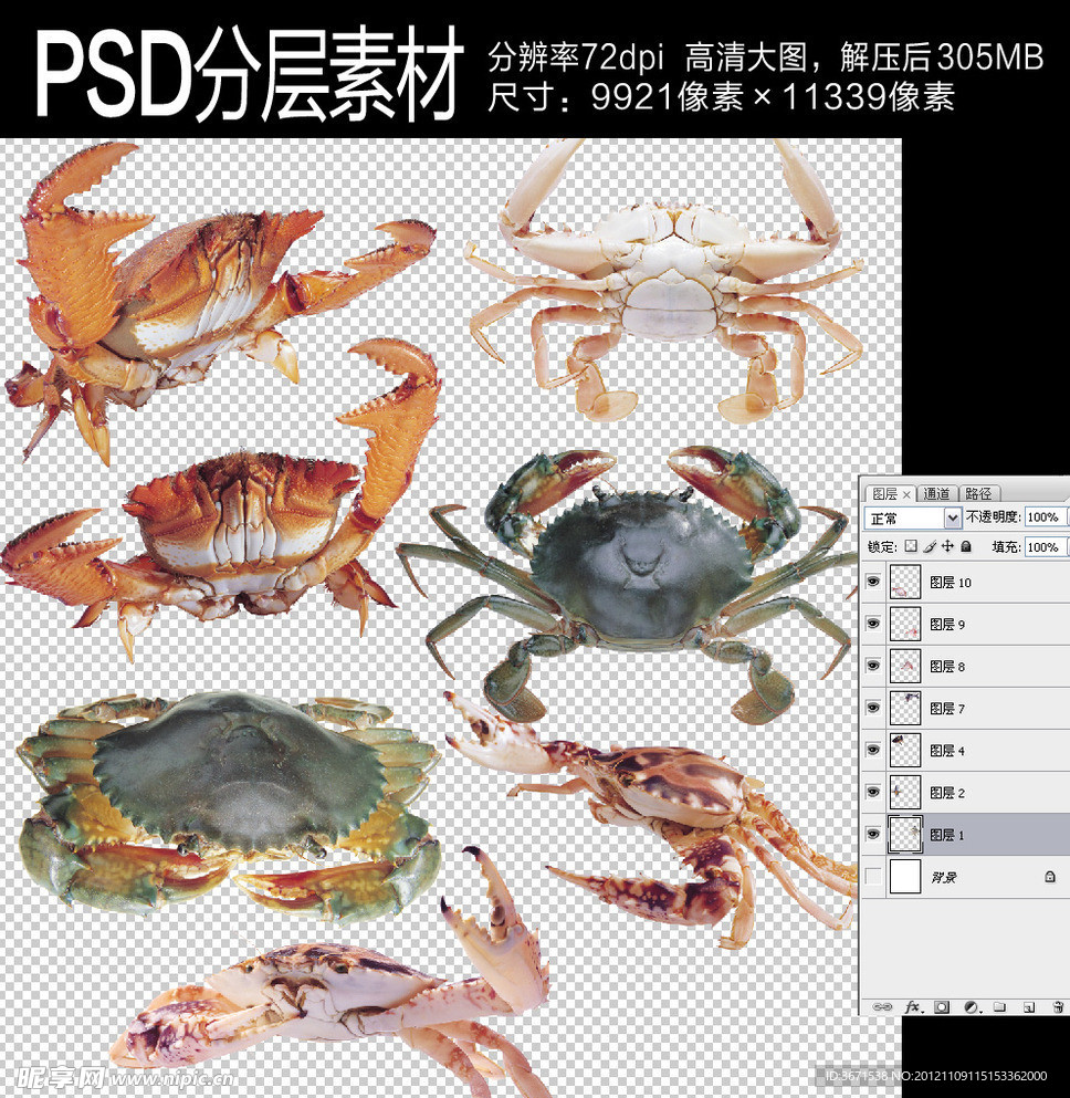 海蟹
