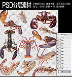 大虾
