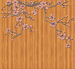 移门 木纹