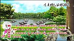 鹅鸭介绍海报